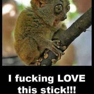 Meet your Posher, Kenneth